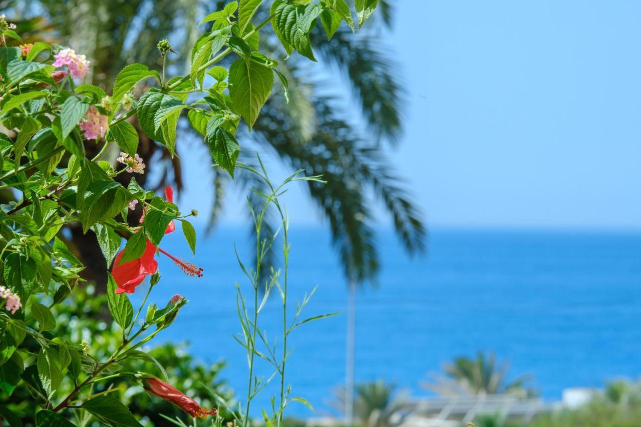 Beautiful Torreoceano 92, Pool, Beach Access La Cala De Mijas Esterno foto